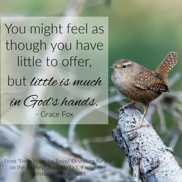 Little is Much in God’s Hands - Grace Fox