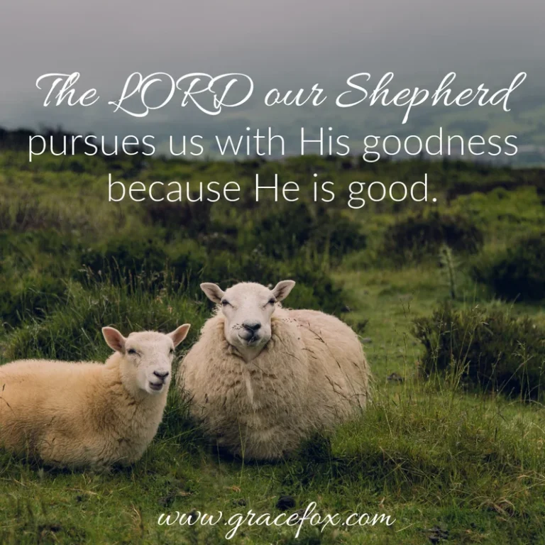 How Does God’s Goodness Pursue Us?