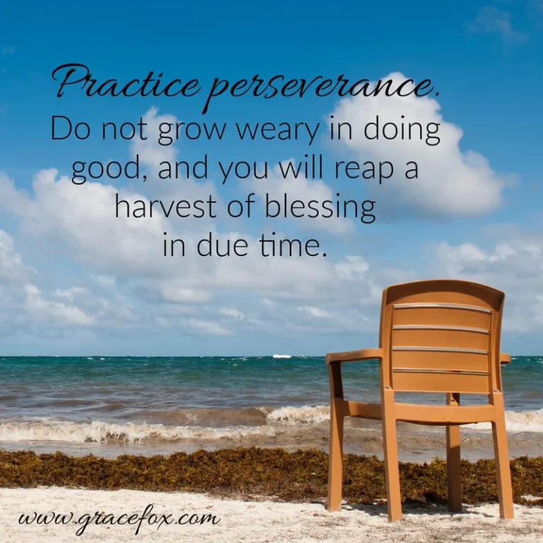 Practice Perseverance - Grace Fox
