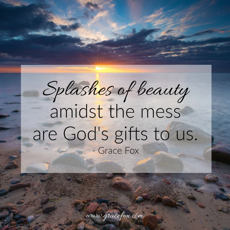 Splashes of Beauty Amidst the Mess - Grace Fox