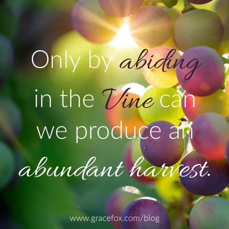 What Does it Mean to Abide in the Vine? - Grace Fox