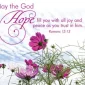 Finding Hope in Crisis Notecards - Grace Fox