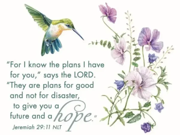 Fresh Hope for Today Notecards - Grace Fox Fresh Hope for Today Notecards - Grace Fox